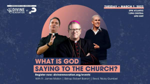 Divine Renovation and Alpha online event: What is God saying to the Church?